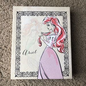 Ariel canvas